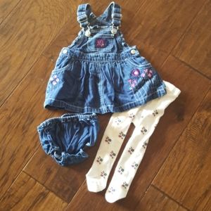 Gymboree Baby Girl Dress/Diaper Cover/Tights